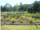 Mount Berryman QLD 4341