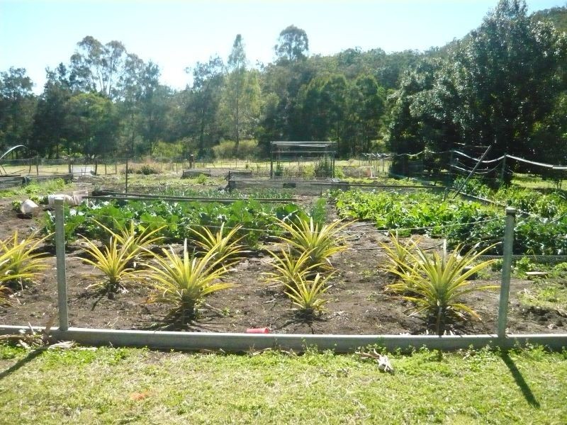 Mount Berryman QLD 4341