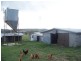 Laidley South QLD 4341