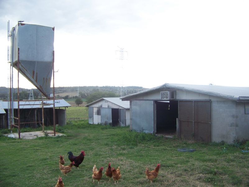 Laidley South QLD 4341