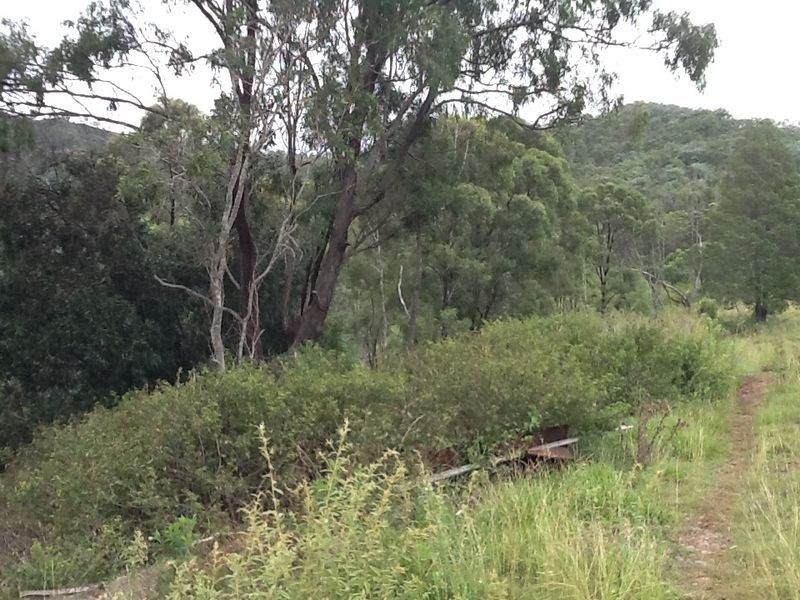 Greenmount QLD 4359