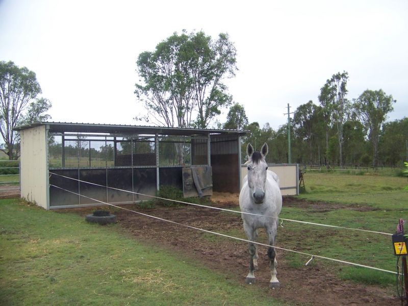 Spring Creek QLD 4343