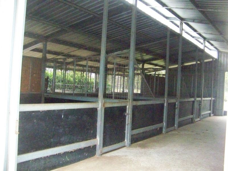 Spring Creek QLD 4343