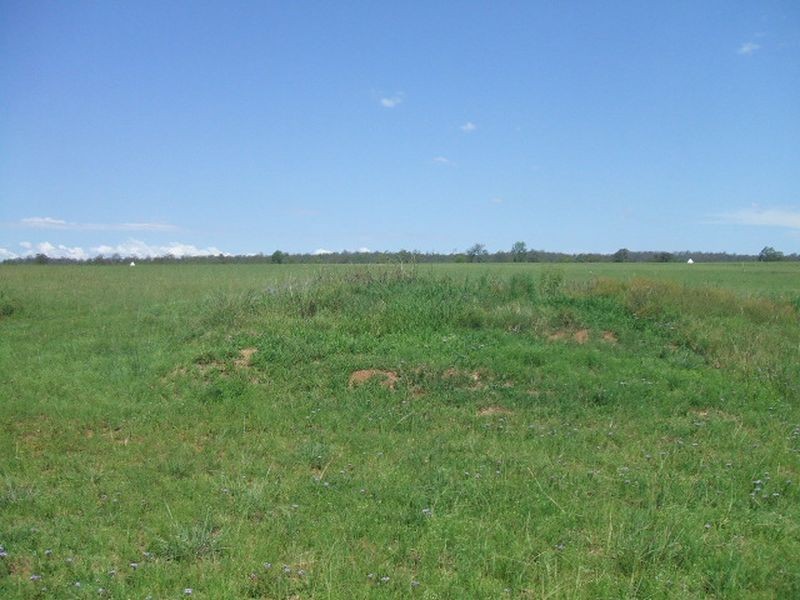 Gatton QLD 4343