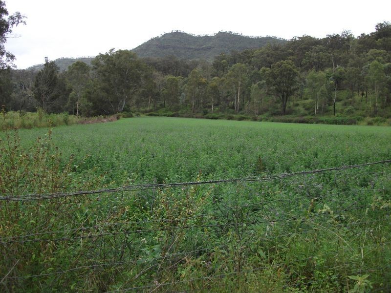 Mount Sylvia QLD 4343