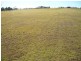 Placid Hills QLD 4343