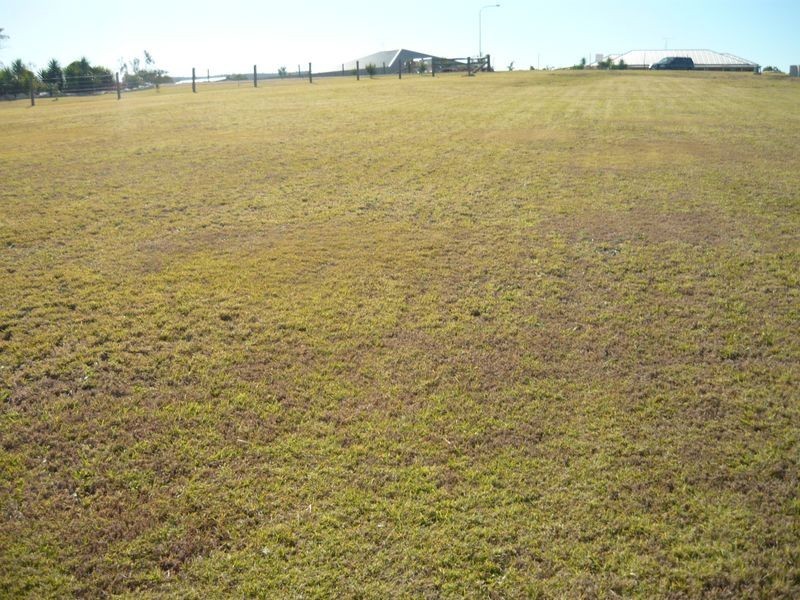 Placid Hills QLD 4343