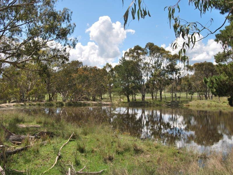 278 Boyce Road, Greenlands QLD 4380