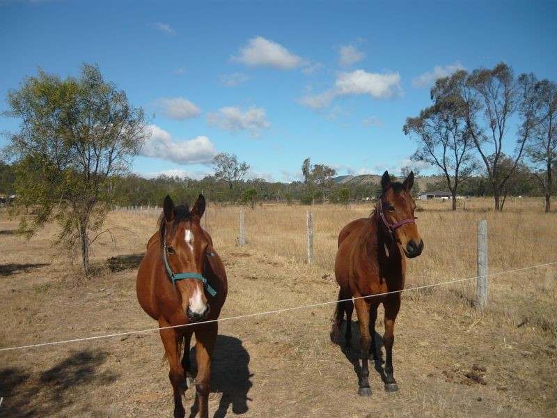 2/ Grantham Scrub Road, Veradilla QLD 4347