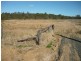 2/ Grantham Scrub Road, Veradilla QLD 4347