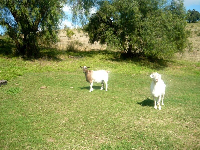Ropeley QLD 4343