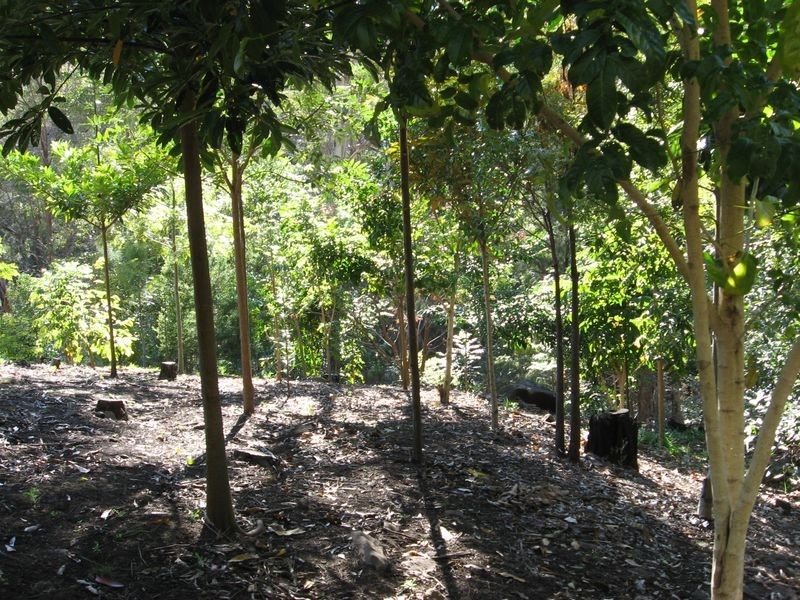 270 Cole Gully Road, Lefthand Branch QLD 4343