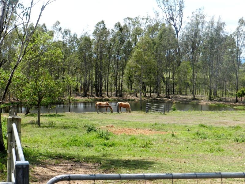 Gatton QLD 4343