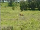 Ropeley QLD 4343