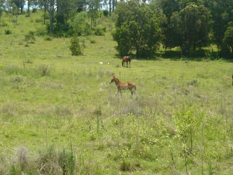Ropeley QLD 4343