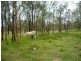 Placid Hills QLD 4343