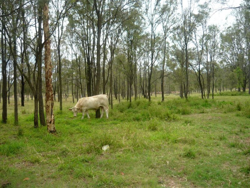 Placid Hills QLD 4343