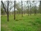 Placid Hills QLD 4343