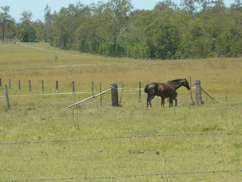Spring Creek QLD 4343