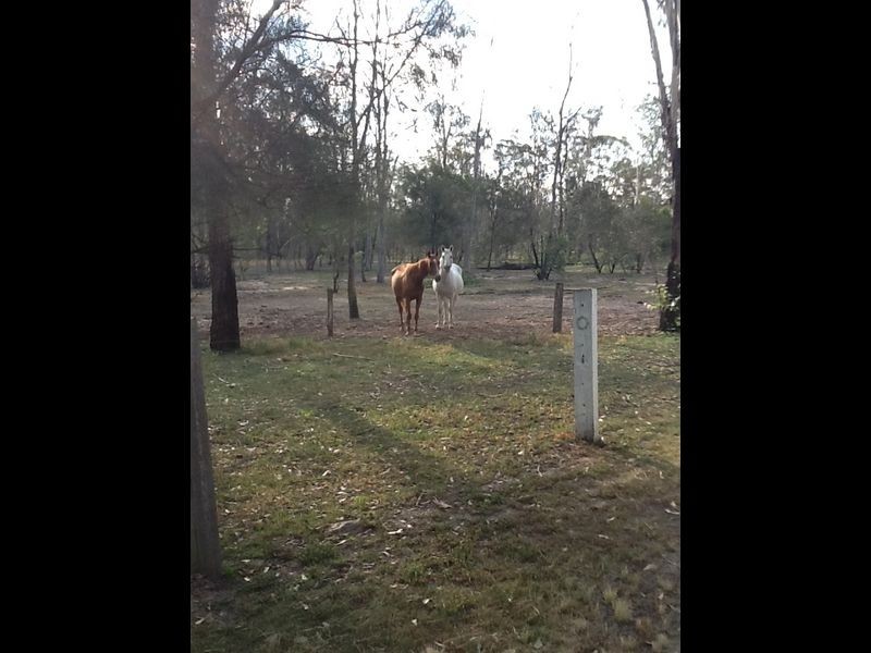 Lockyer Waters QLD 4311