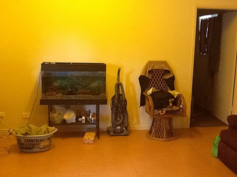 Lockyer Waters QLD 4311