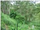 Lefthand Branch QLD 4343