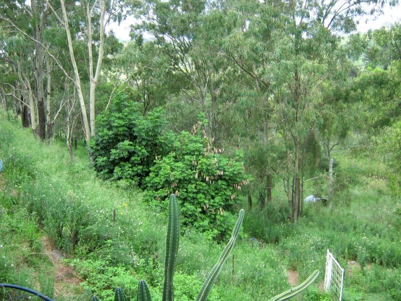 Lefthand Branch QLD 4343