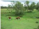 Lower Tenthill QLD 4343