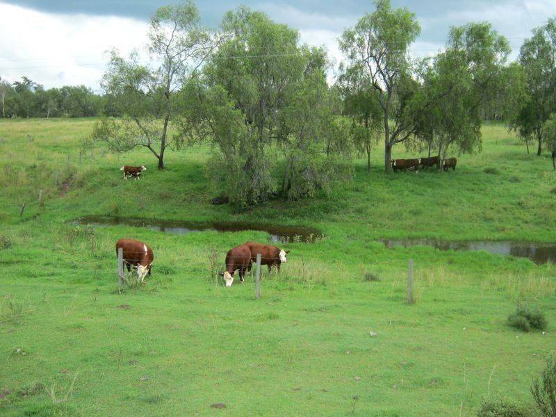 Lower Tenthill QLD 4343