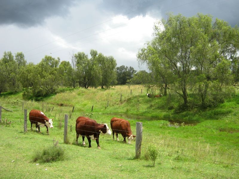 Lower Tenthill QLD 4343