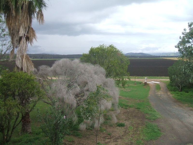 8 Brimblecombe Street, Forest Hill QLD 4342