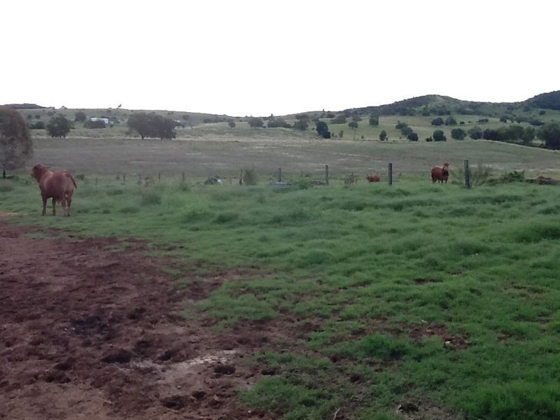 Ma Ma Creek QLD 4347