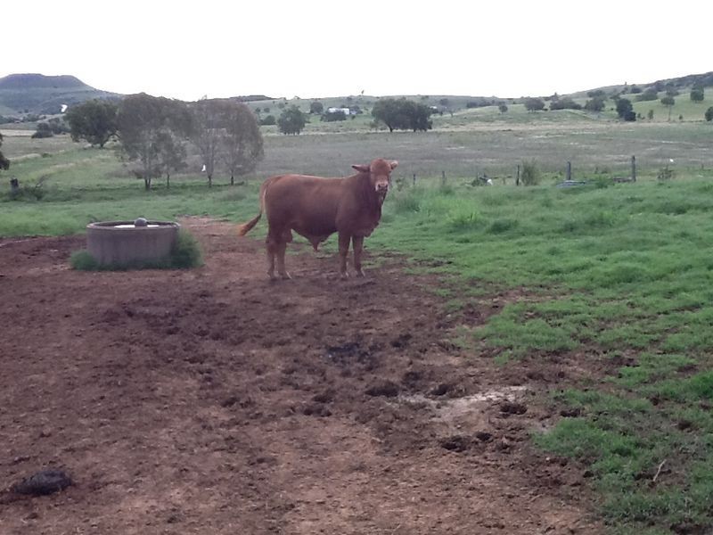 Ma Ma Creek QLD 4347