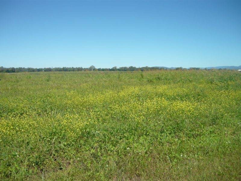 Forest Hill QLD 4342