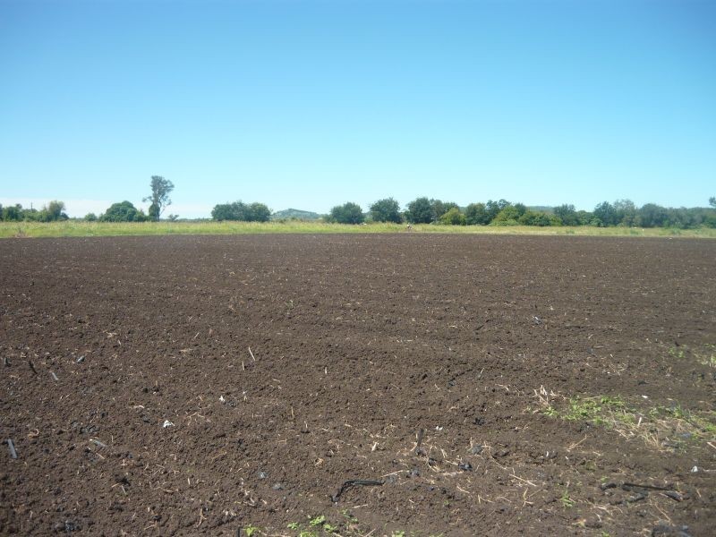 Forest Hill QLD 4342