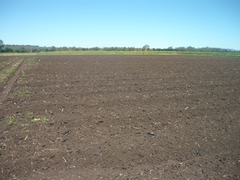 Forest Hill QLD 4342