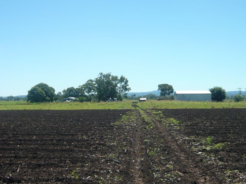 Forest Hill QLD 4342