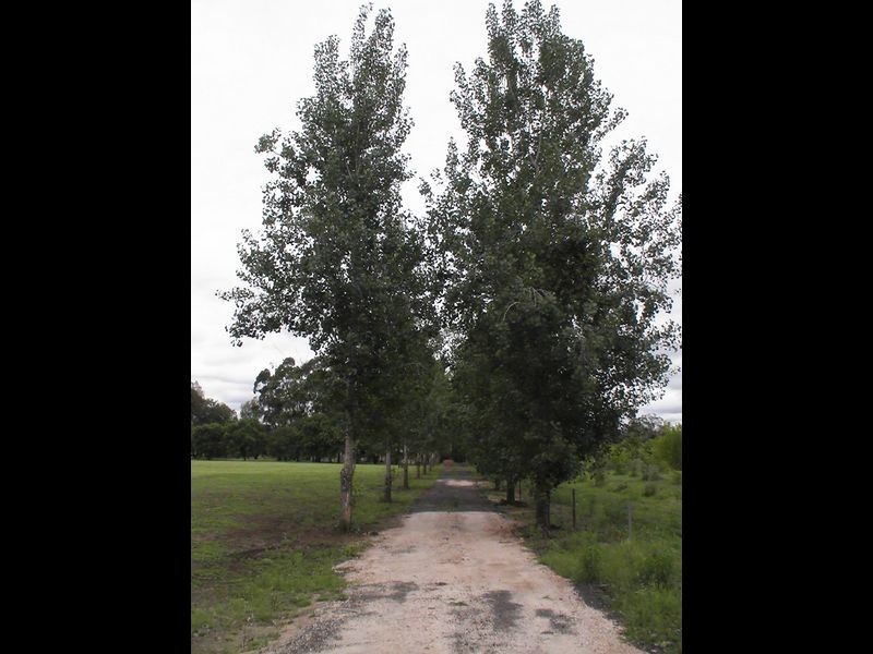 Helidon QLD 4344