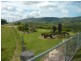 Mount Whitestone QLD 4347