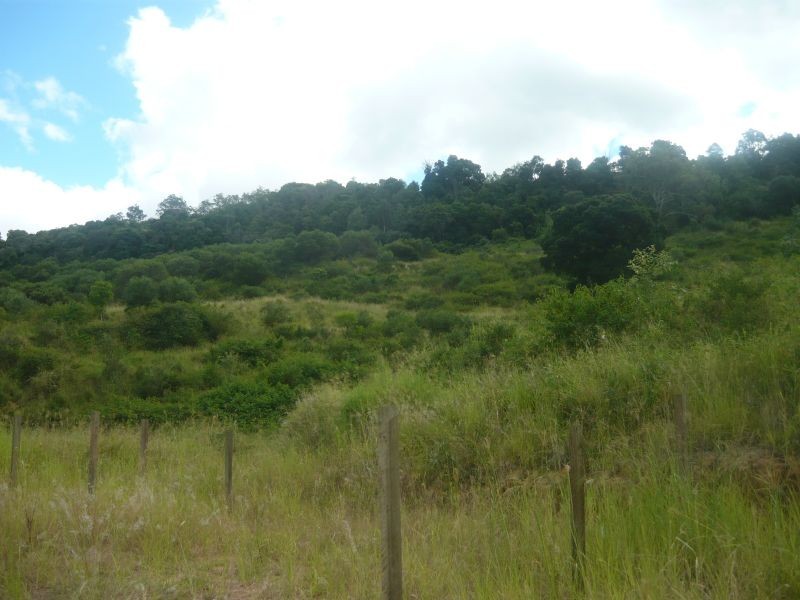 Lot 173 Weigel Road, Summerholm QLD 4341