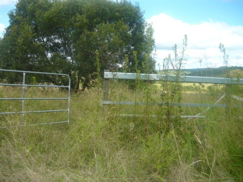 Lot 173 Weigel Road, Summerholm QLD 4341