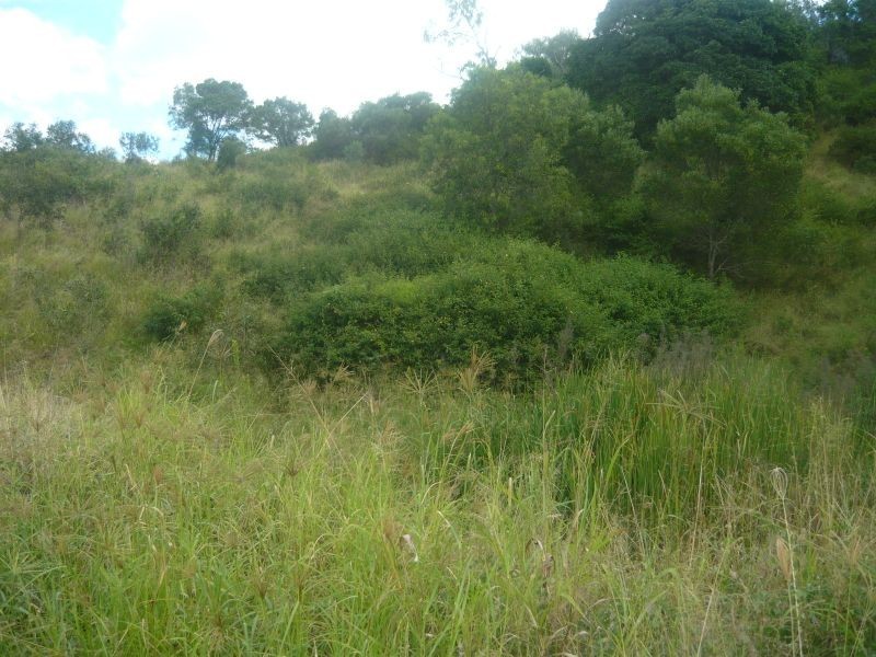 Lot 173 Weigel Road, Summerholm QLD 4341