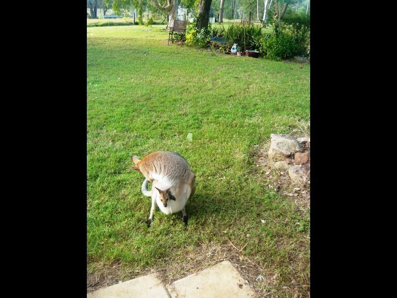 215 Bartleys Rd, Spring Creek QLD 4343