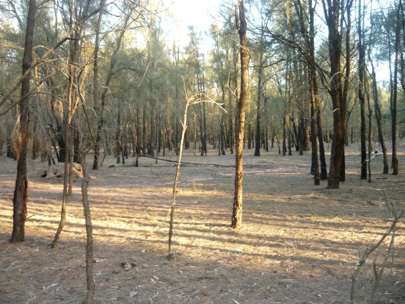 158 Grantham-Winwill Road, Winwill QLD 4347