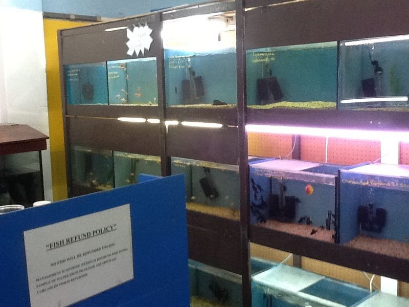 54 Railway Street, Gatton QLD 4343