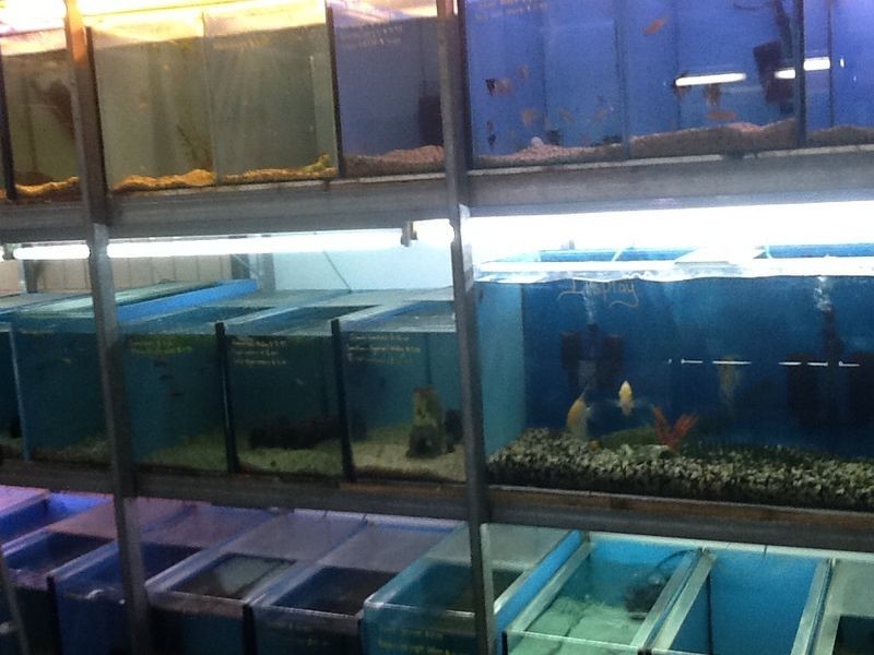 54 Railway Street, Gatton QLD 4343