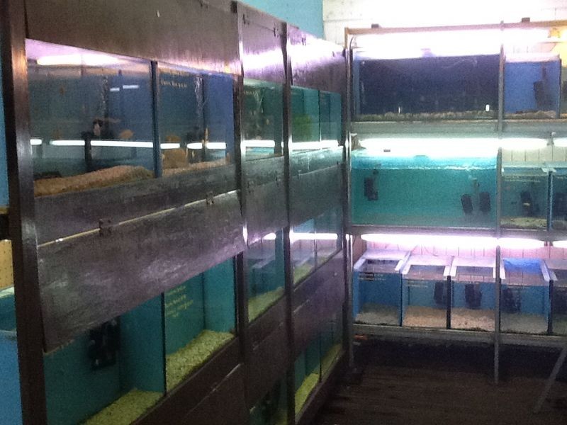 54 Railway Street, Gatton QLD 4343