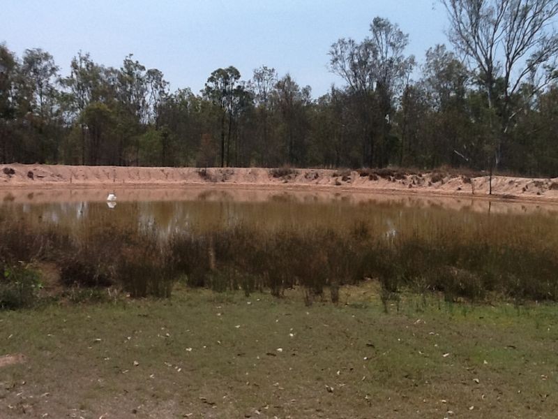 99 Huntingdale Crescent, Placid Hills QLD 4343