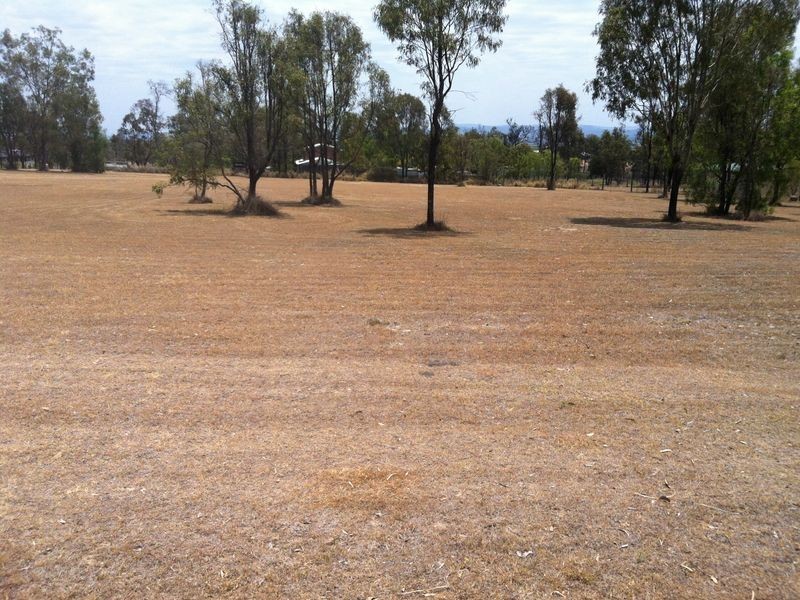 63 Staatz Quarry Road, Regency Downs QLD 4341