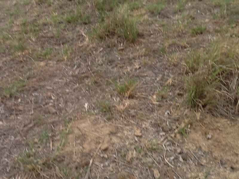 30 Haslingden Road, Lockyer Waters QLD 4311